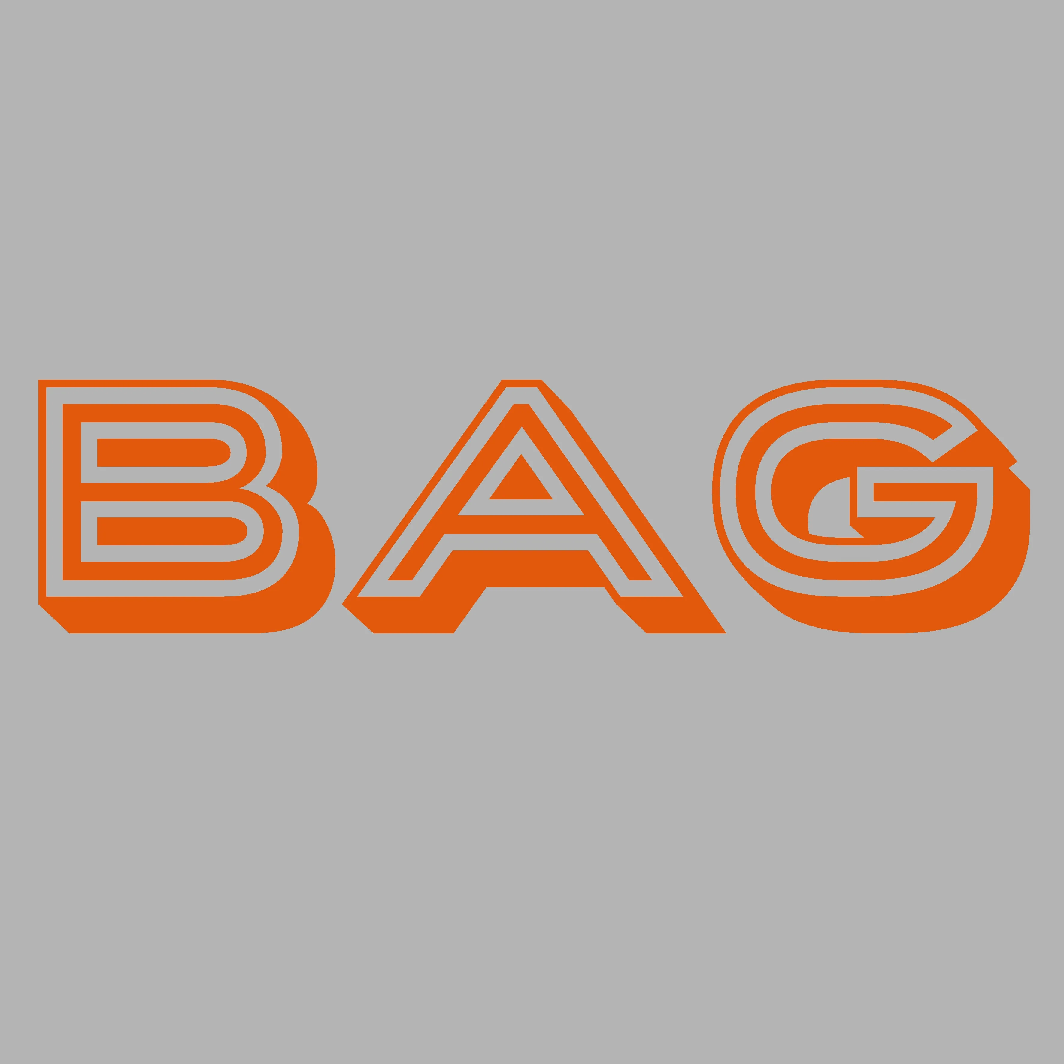 'Bag' slogan ladies t shirt for glamorous older women