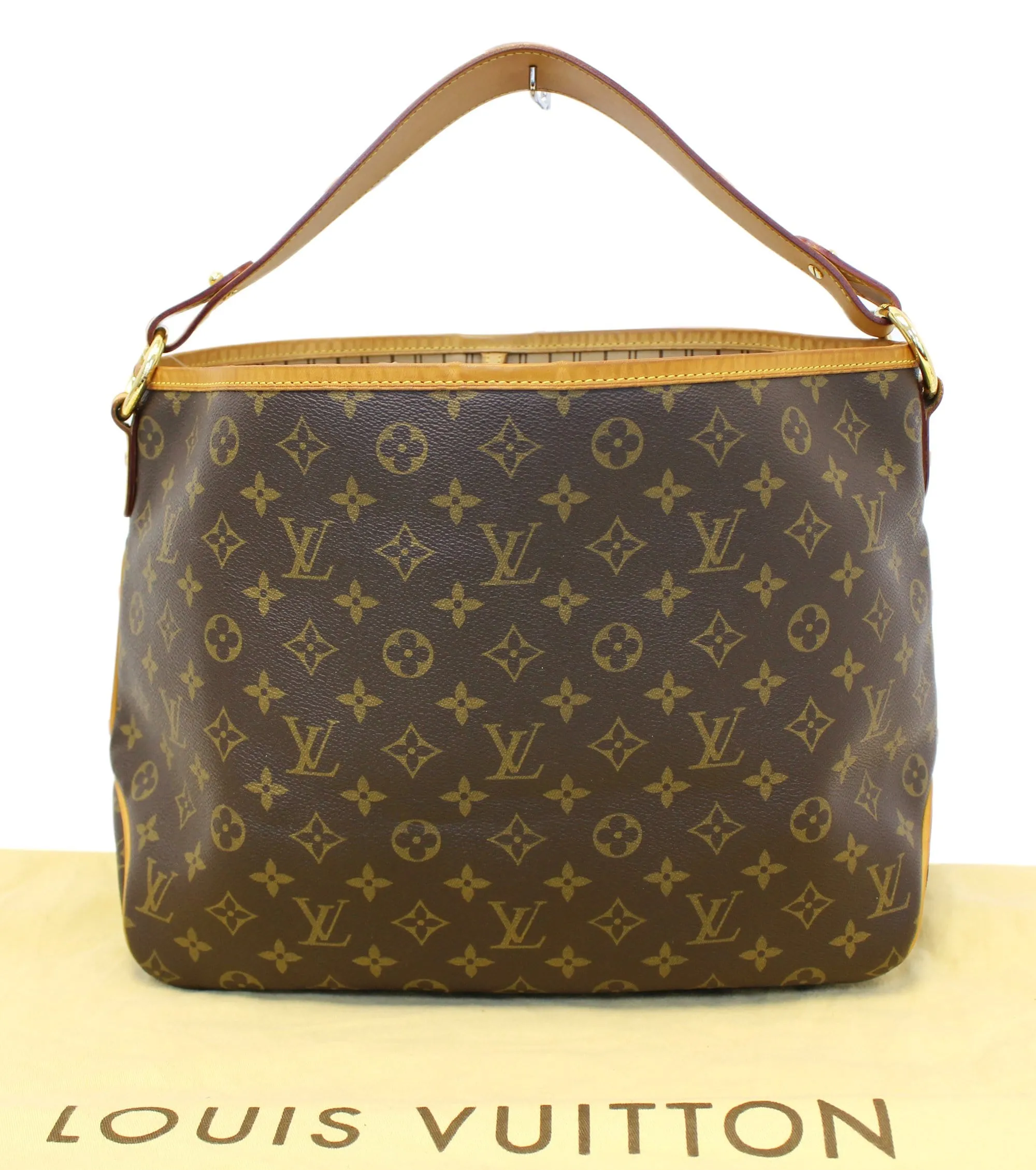LOUIS VUITTON Delightful PM Monogram Canvas Shoulder Hobo Bag
