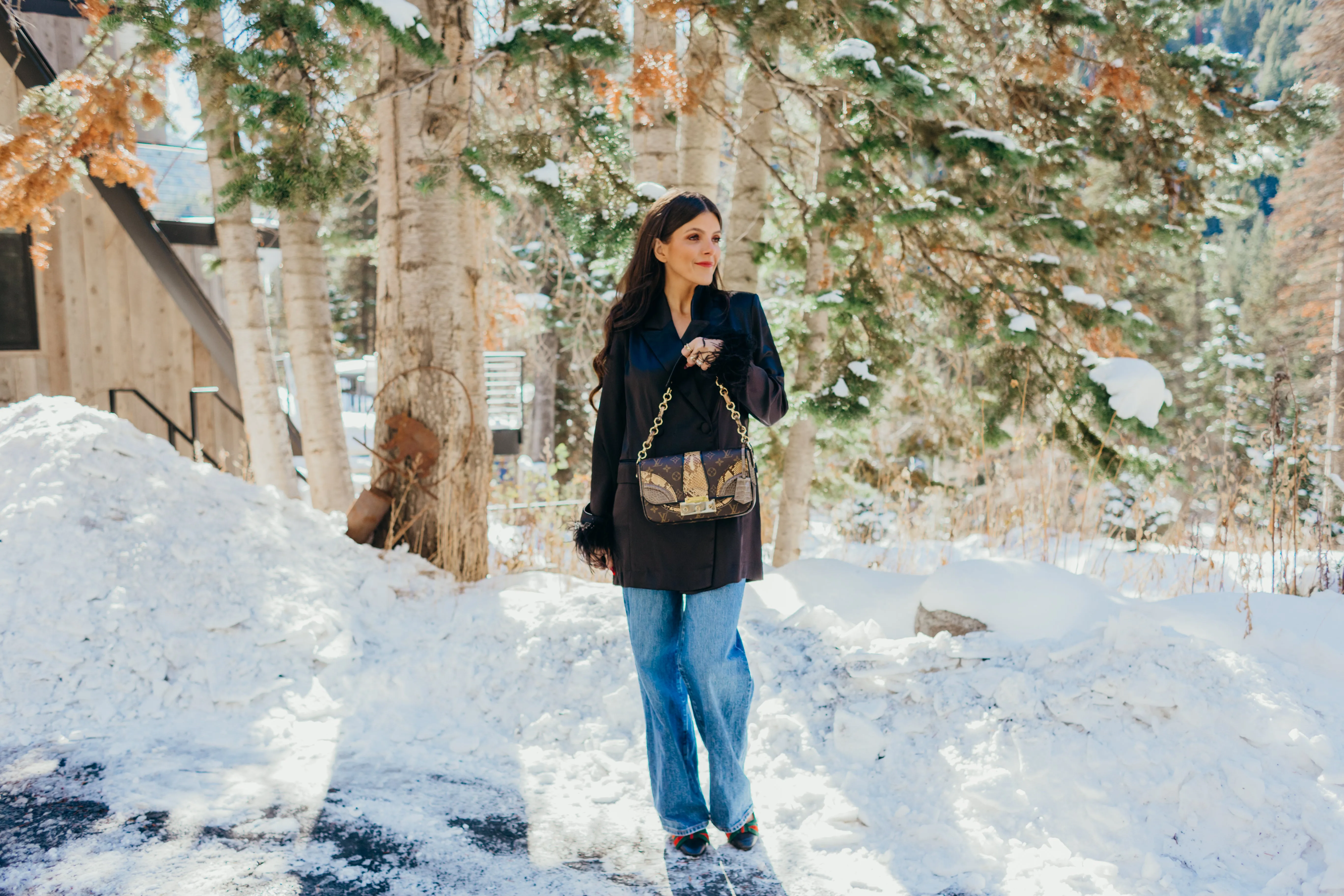 Monogramissime Alligator & Python Shoulder Bag