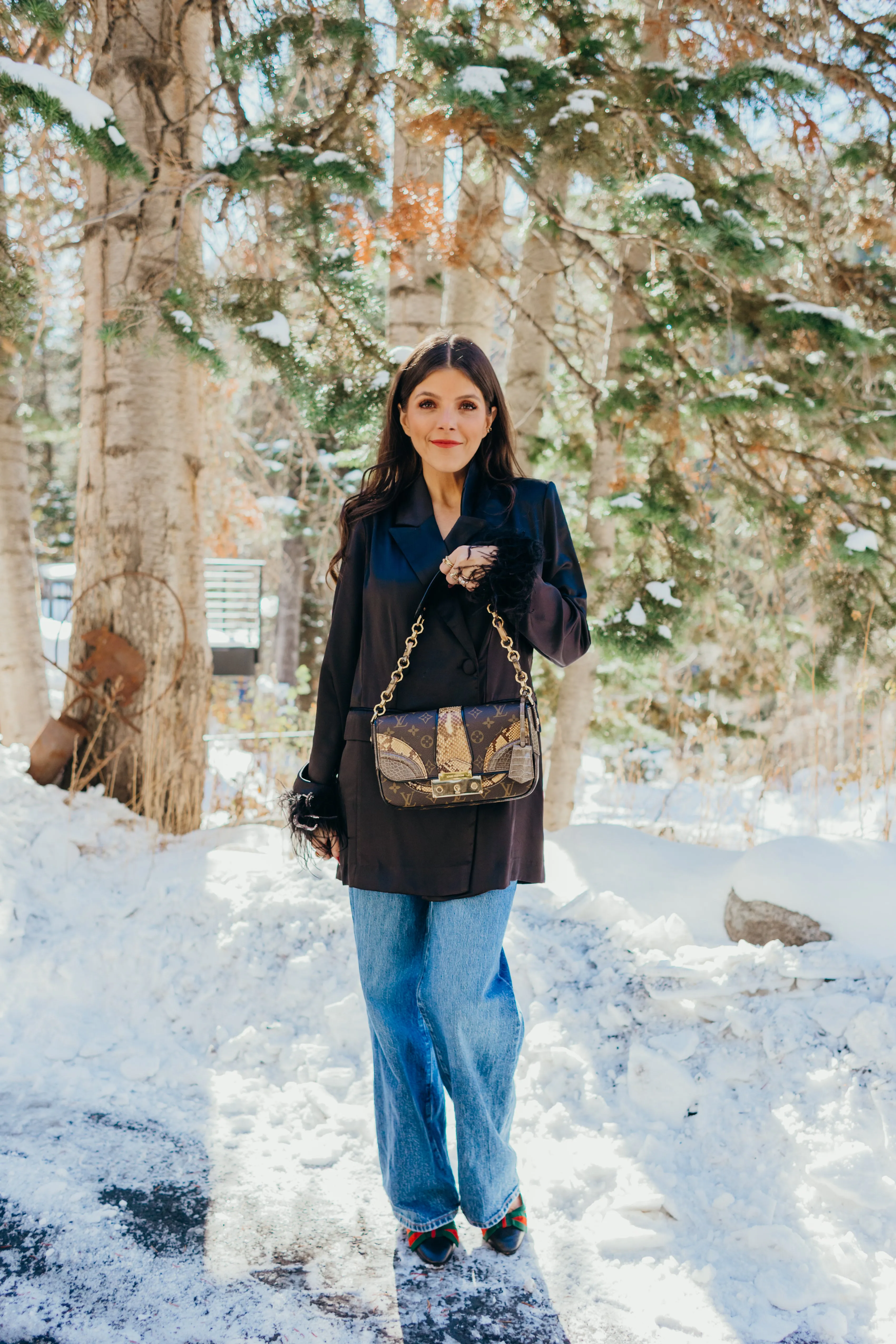 Monogramissime Alligator & Python Shoulder Bag